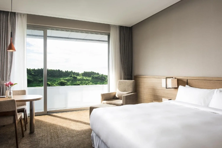 Deluxe Double room with Cliff View