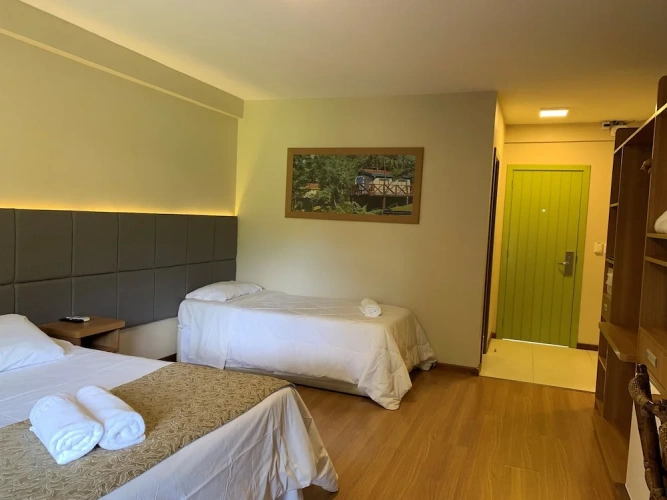 Deluxe Apartment