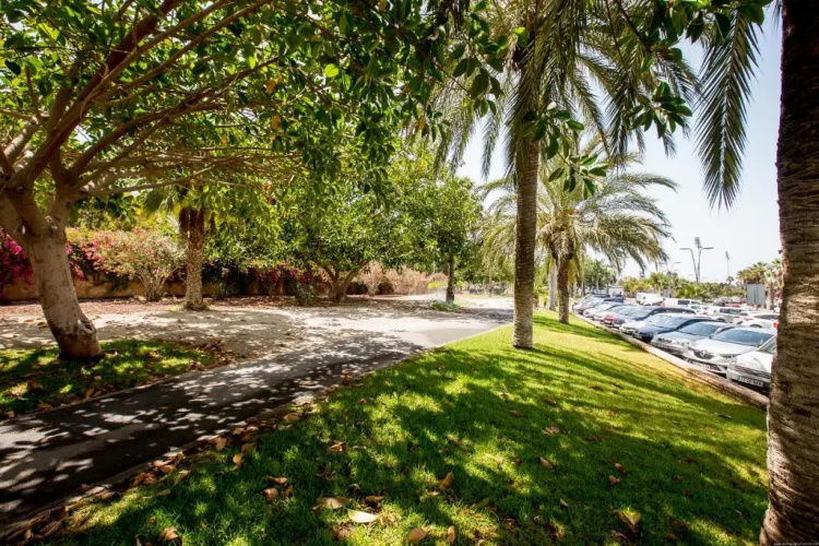 Apartment Flor Azul, Las Americas