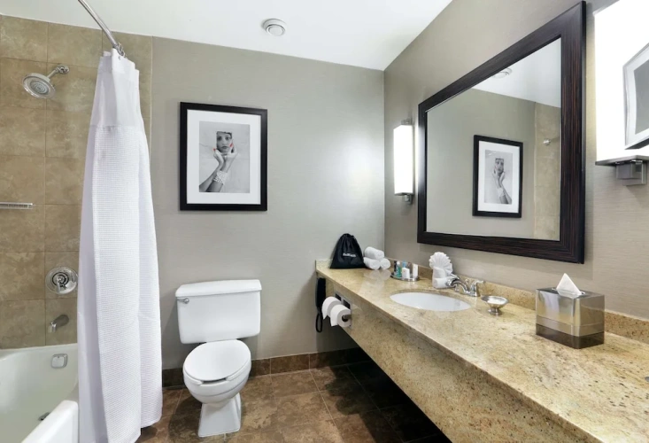 1 Bedroom Suite