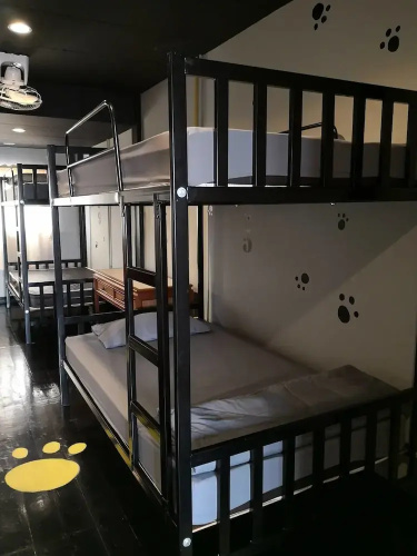 Feel Like Home Dormitory - Hostel