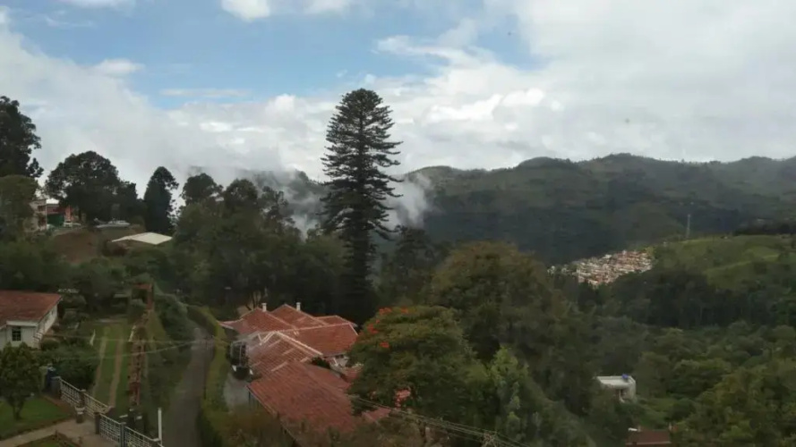 Camellia Heights 1&2