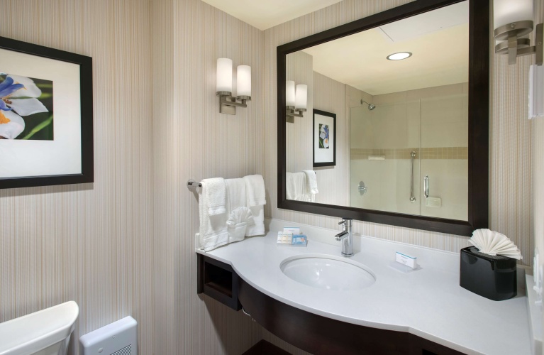 Hilton Garden Inn Chicago Downtown Riverwalk photo 10