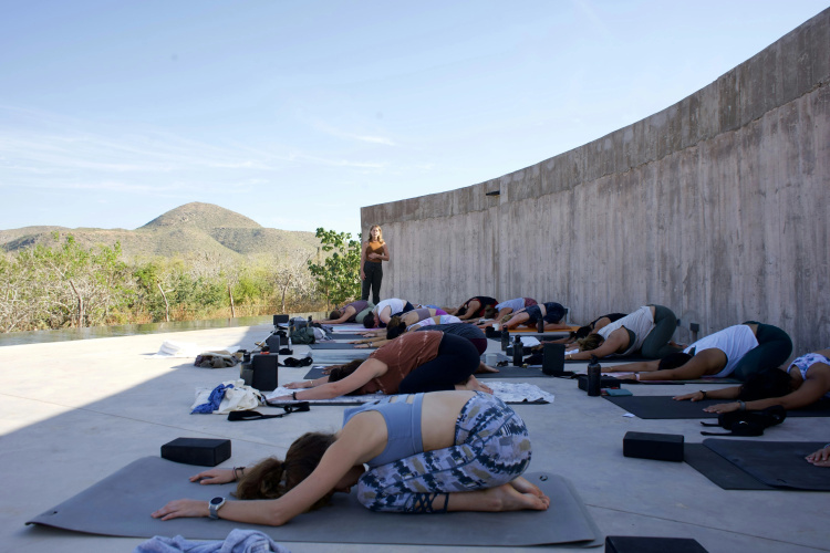 Paradero Todos Santos (Adults only) photo 27