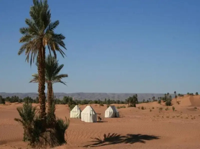 Sahara Safari Camp