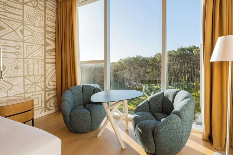 Deluxe Twin room with park view