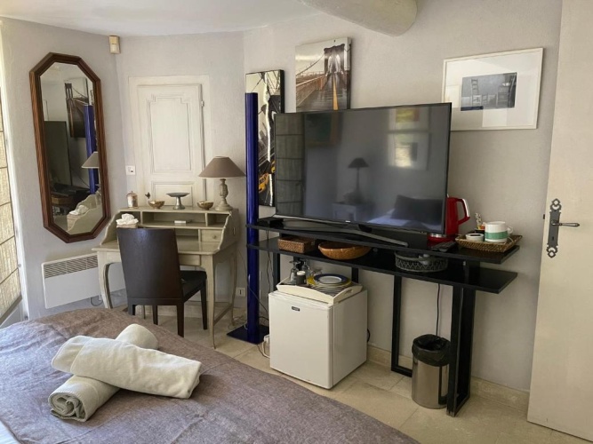 Standard Double room with garden view