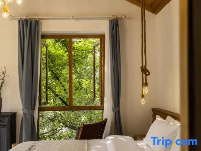 Standard Double room with view