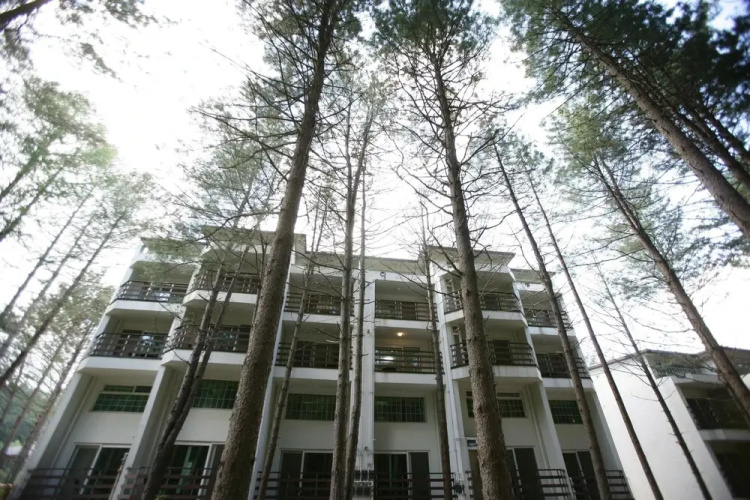 Image de l'hôtel