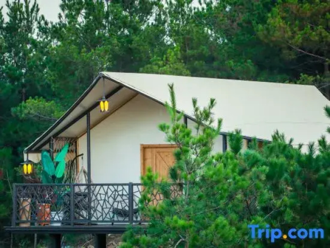 Squirrel Kingdom Forest Homestay