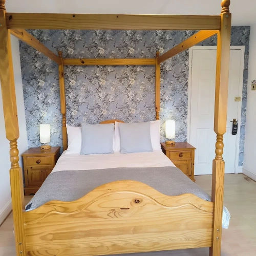 Deluxe Double room with garden view