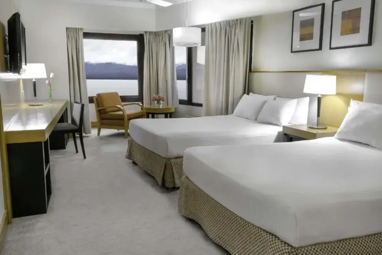 Superior Double room with view