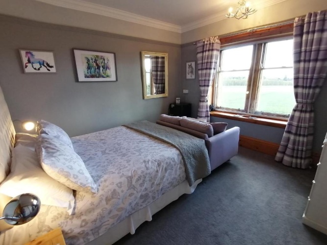 Standard Double room with garden view