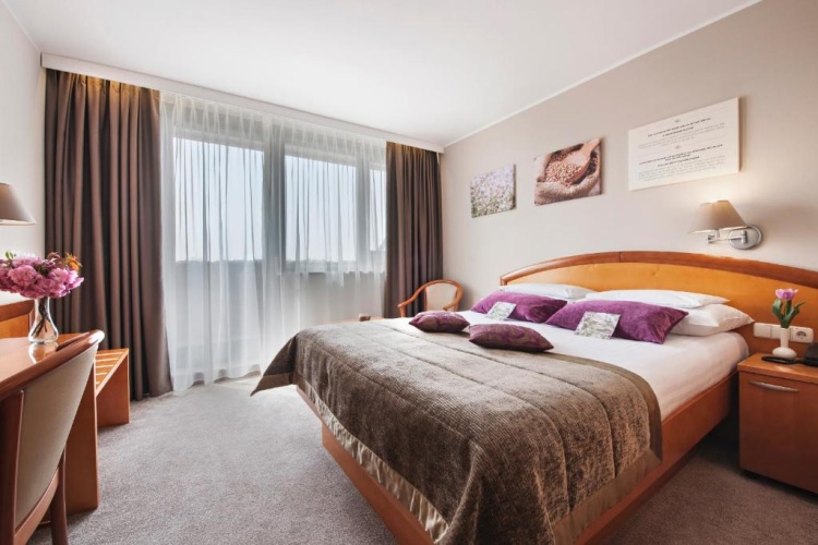 Economy Double room with balcony