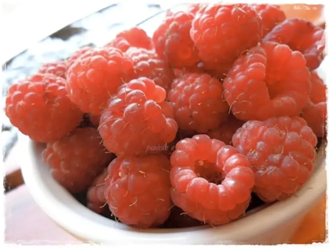 Bed Breakfast Ambrosia