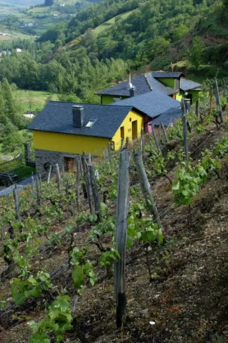 La Cabana'l Cachicán - Verdejo