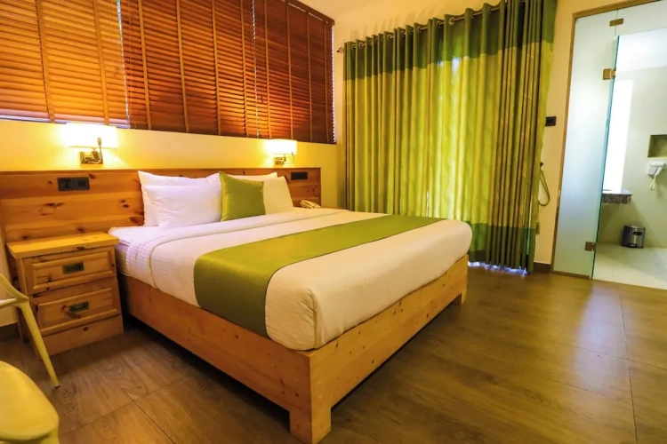 Deluxe Double room with balcony and with mountain view
