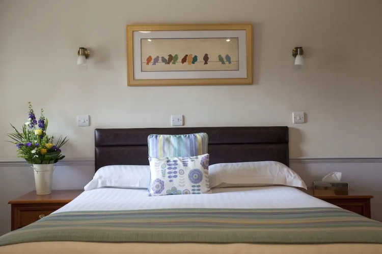 Standard Double Basement room