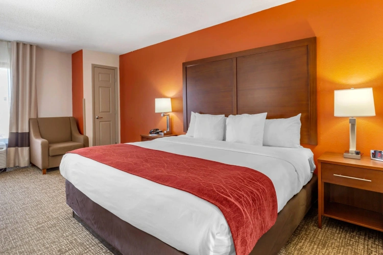 Standard Double room