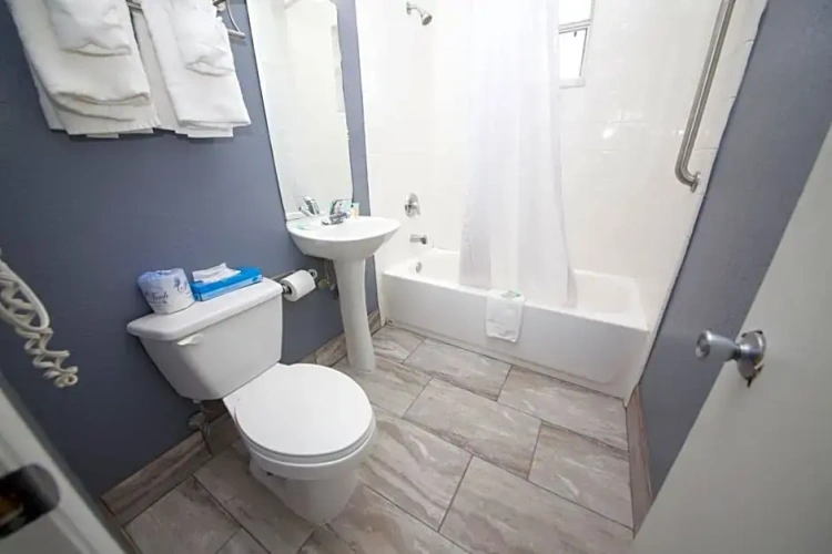 Standard Double room with balcony and with ocean view