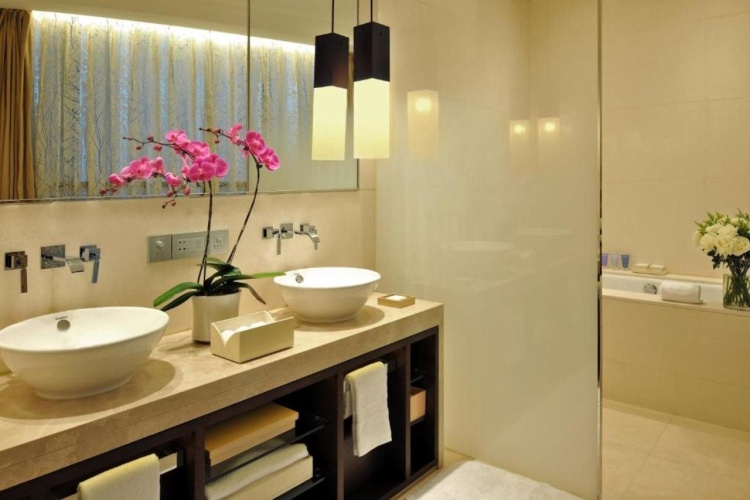 Jumeirah Himalayas Hotel photo 10