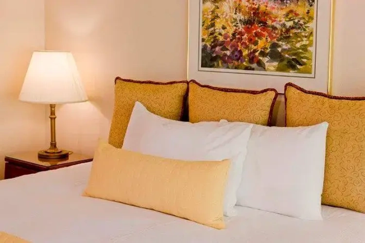 Deluxe Double Suite