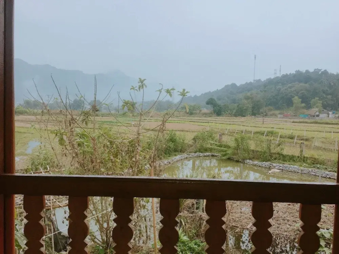 Thao Ly Homestay - Hostel
