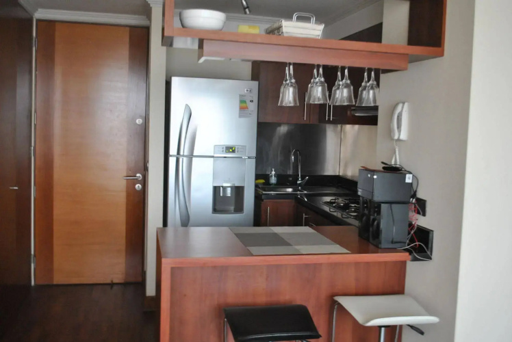 Roypace Apartamentos Manuel Montt