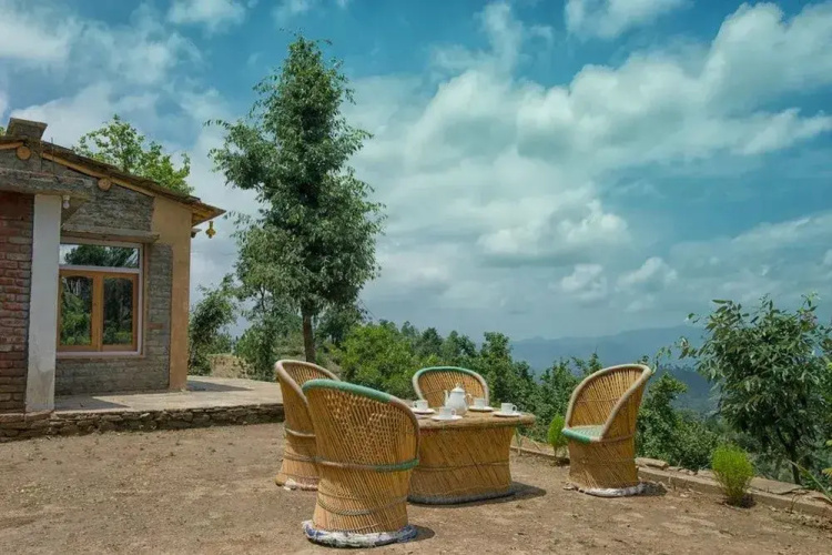 Shukun Homestay