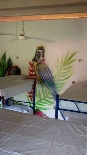 Dream Catcher