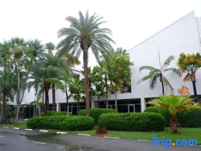 Saenpalm training home