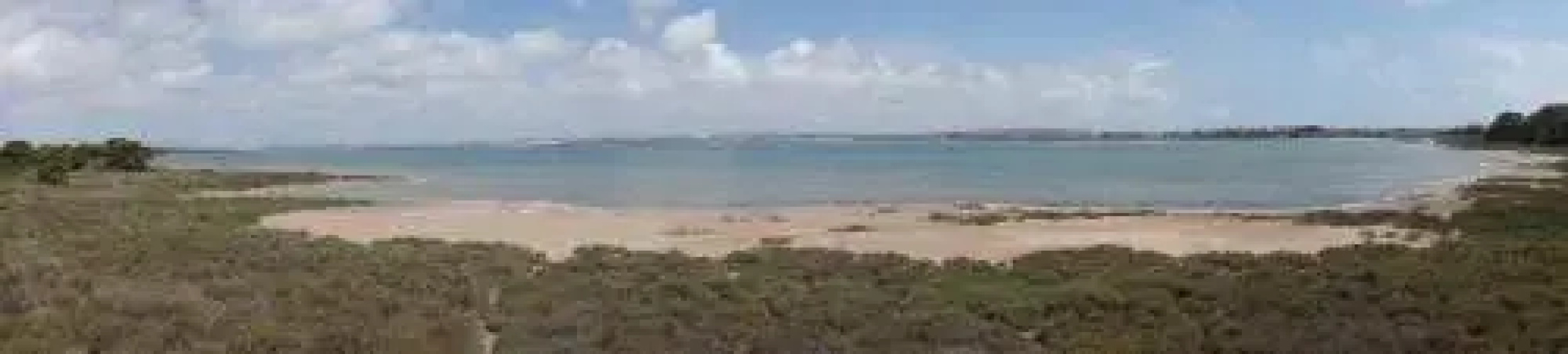 Studio w La Mata