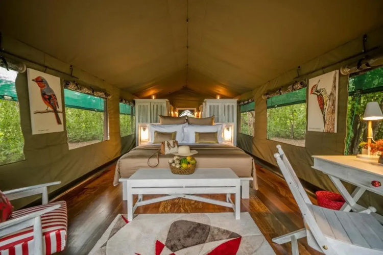 Flameback Eco Lodge