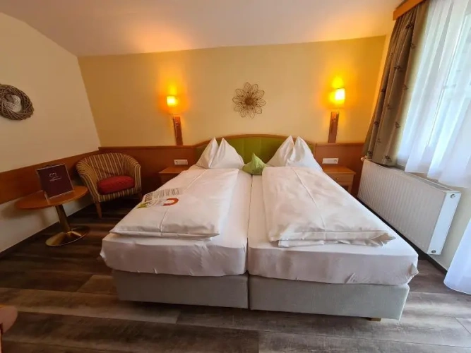 Standard Double room with balcony and with mountain view