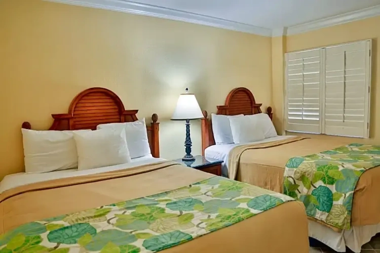 Deluxe Suite