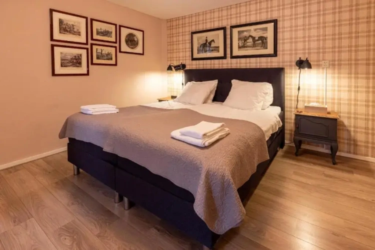 Deluxe Double room with garden view