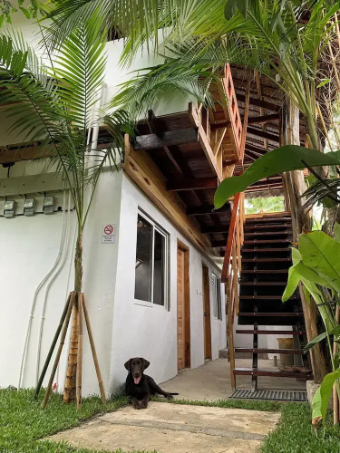 Wayans Siargao