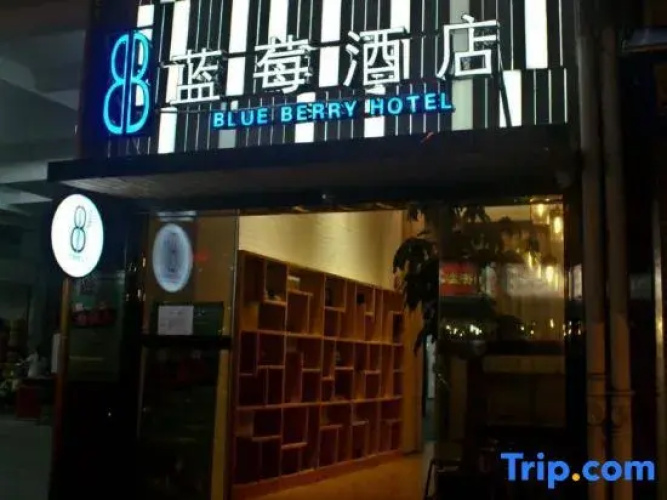 Blue Berry Hotel