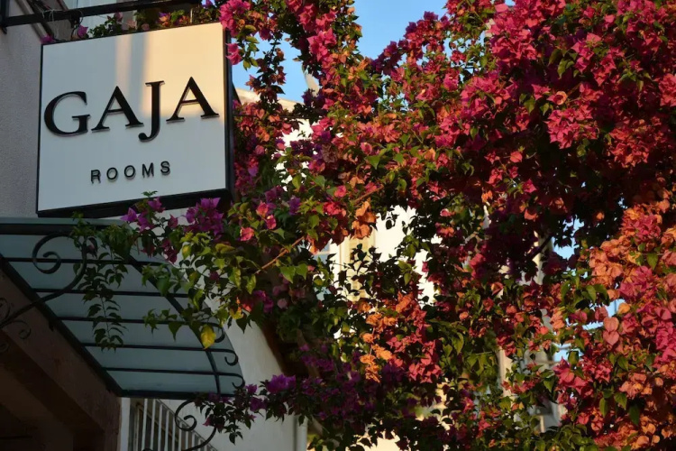 Gaja Ayvalik - Cunda Adası