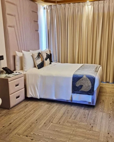 Deluxe Single room
