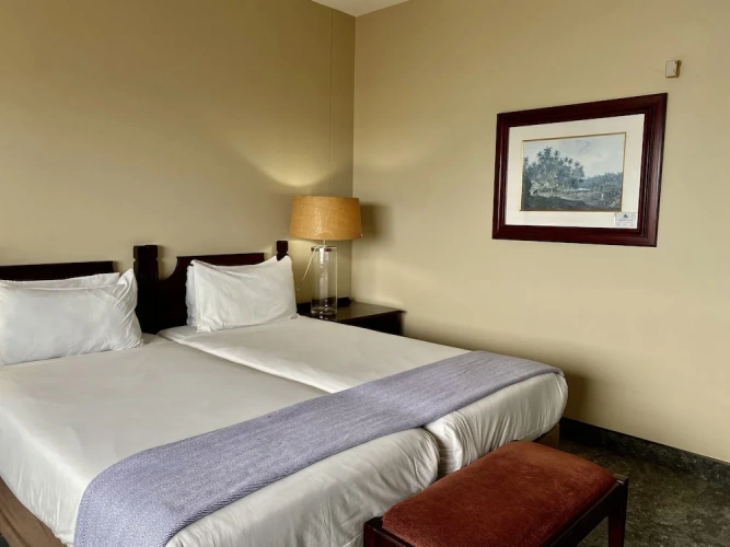 Deluxe Twin room with city view