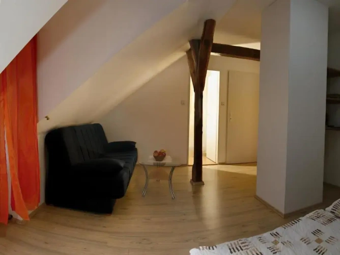 1 Bedroom Standard Double room with park view