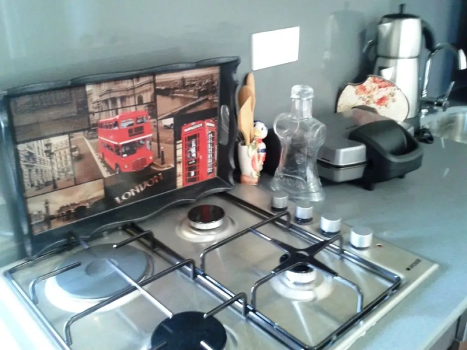 1 Bedroom Executive Basement Apartment