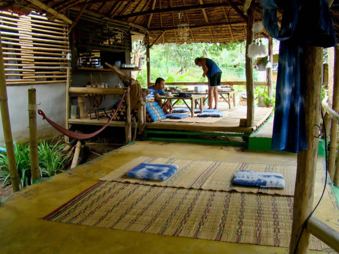 Re - Wild House