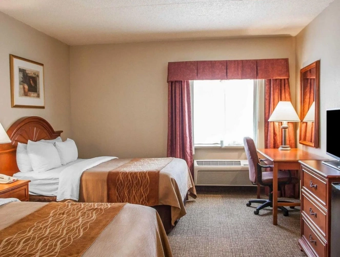 1 Bedroom Quadruple Suite