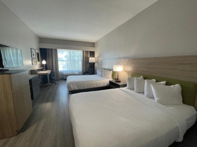 Standard Double room