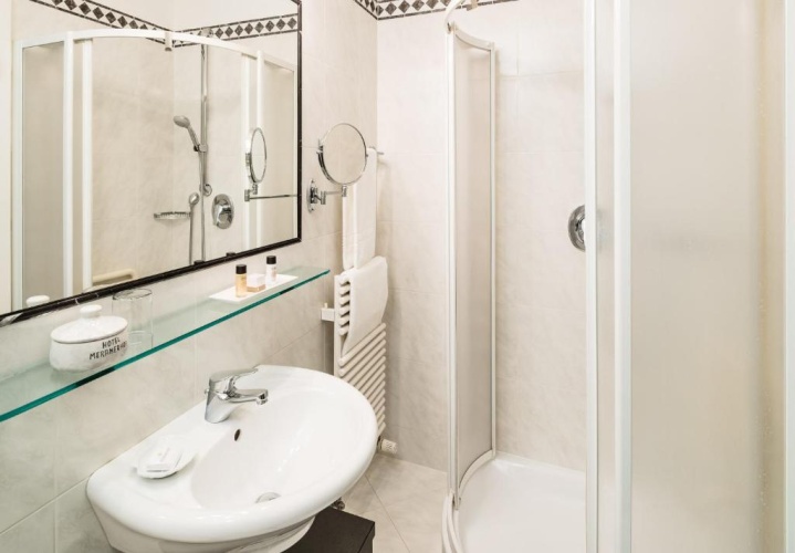 Standard Double room with balcony and with garden view