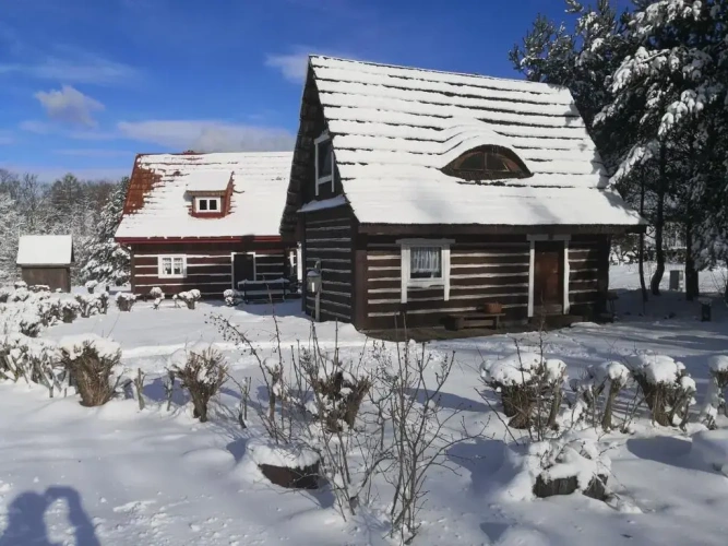 Family Bungalow