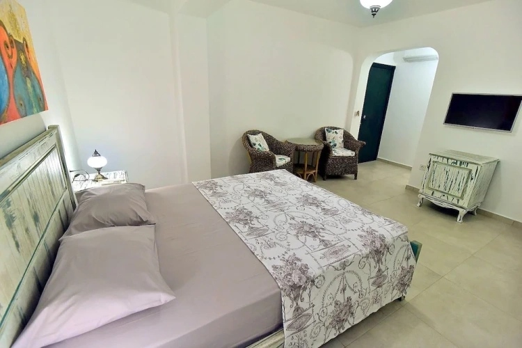 Standard Double room with balcony and with sea view