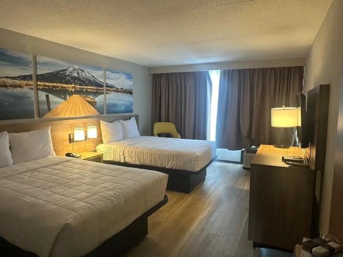 Guest rooms
